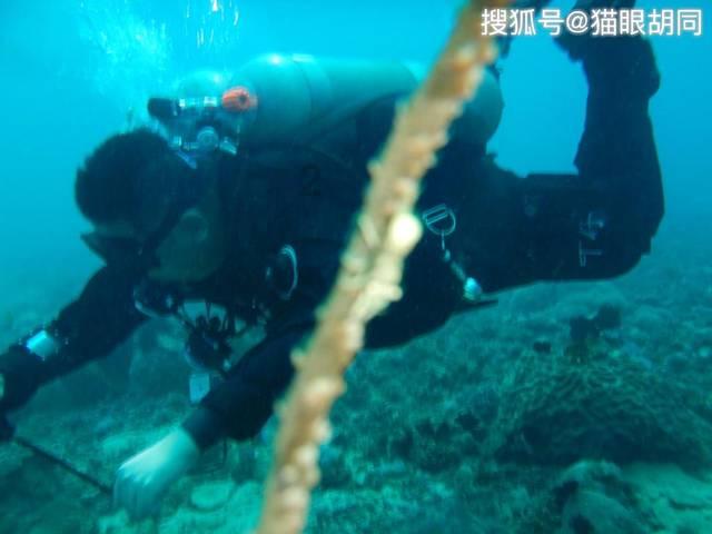两会声音|为龙江高质量发展注入“金融活水”